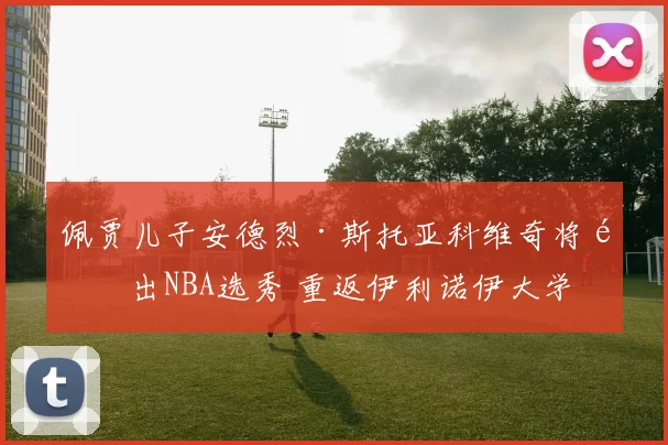 佩贾儿子安德烈·斯托亚科维奇将退出NBA选秀 重返伊利诺伊大学
