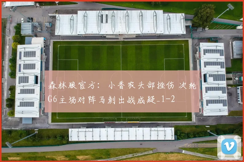 森林狼官方：小香农头部挫伤 次轮G6主场对阵马刺出战成疑_1
